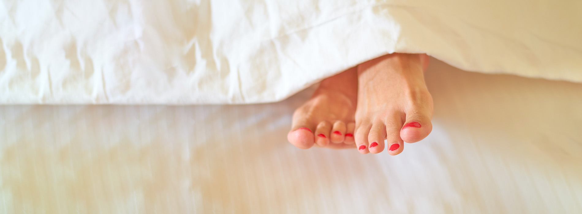 A person s feet with painted toenails peeking out from under a bedspread.